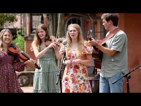 San Antonio Rose - The Petersens feat. Mark Mazengarb (LIVE)