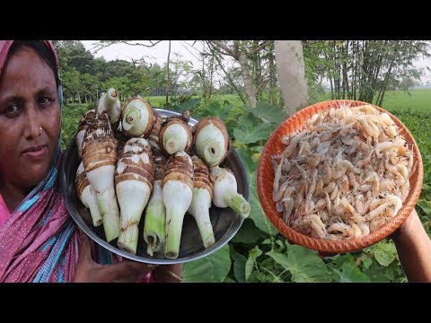 Awesome Cooking Kochu Muka Chingri Vaji Recipe FARM FRESH Taro Root & Shrimp Fry Curry Village Food Video