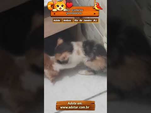 Vídeo de S/n apelidos provisórios 