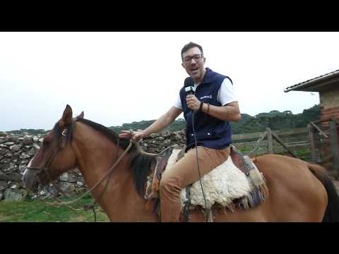 Turismo em Cambará do Sul oferece ricas experiências campeiras e gastronomia - Rio Grande Rural