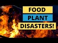 Mystery Of Food Processing Plants Catching Fire