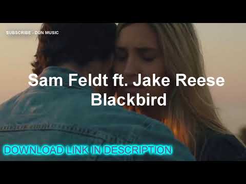 Sam Feldt ft. Jake Reese - Blackbird (Lyric Video) + DOWNLOAD LINK
