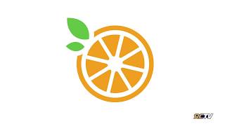 Spring-Ford Tutorial - NutriSlice Website and App