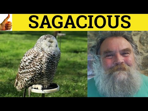 What Does Sagacious Mean