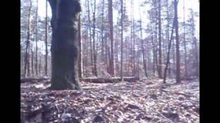 Badly Drawn Afternoon