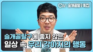 슬개골탈구에 좋지않은 우리 강아지들의 행동과 자세!