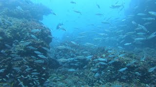 [又來！ 澎湖 EP.3 ] 2022 8月 Day 3 飛飛飛