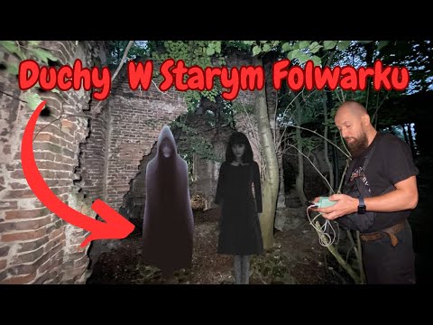 Ghosts in the Old Farm