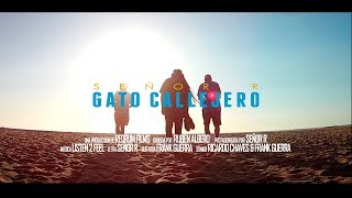 Señor R &amp; Listen 2 feel - Gato callejero [REDRUMfilms]