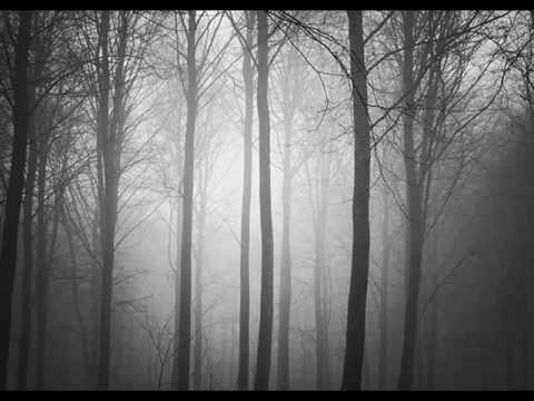 Antonio Vivaldi "Et In Terra Pax"