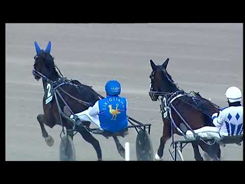 Napoli Trotto 06/02/2022 - 4ª corsa