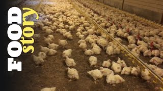 Thumbnail del capítulo