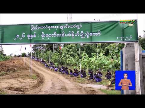 ၂၀၂၆ ခုနှစ်၊ မိုးရာသီသစ်ပင်စိုက်ပျိုးပွဲကျင်းပသည့်မှတ်တမ်း Video