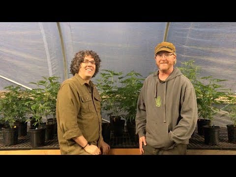 Follow-Up! Hügelkultur Beds and KNF in Commercial Cannabis with Nathan Chevalier