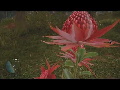 Far Cry Primal. New game 100% pt 23