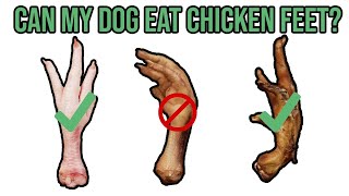 Can dogs eat chicken feet?