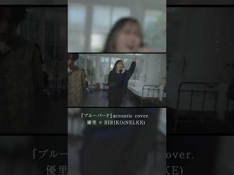 『ブルーバード』acoustic cover. 優里 × RIRIKO(NELKE)#shorts