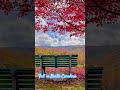 Fall in North Carolina