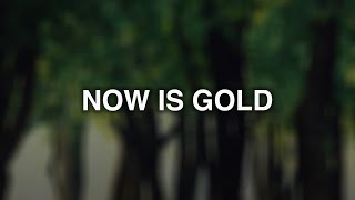 Infected Mushroom - Now Is Gold (feat. Kelsy Karter) (Sex Whales &amp; Roee Yeger Remix)