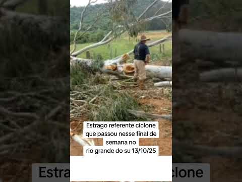 Estrago referente cicloneque passou nesse final de semana norio grande do su 13/10/25 #rs #noticias