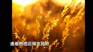 羊圈以外 (盧永亨作品集 4 惟獨聖經)