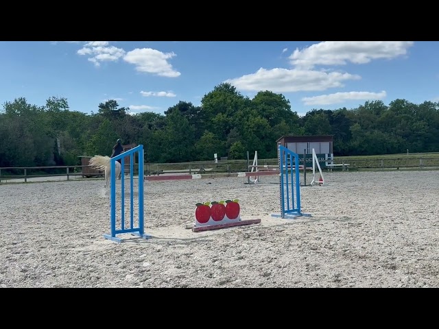 Cheval &agrave; vendre 14 ans, gris