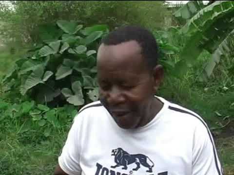 KUWADI  ( KING MAJUTO COMEDY  )