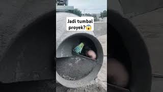 Download lagu Orang ini jadi tumbal proyek?😱 #fyp #shorts #bokep #viralvideo #viralshorts #tumbal #proyek mp3