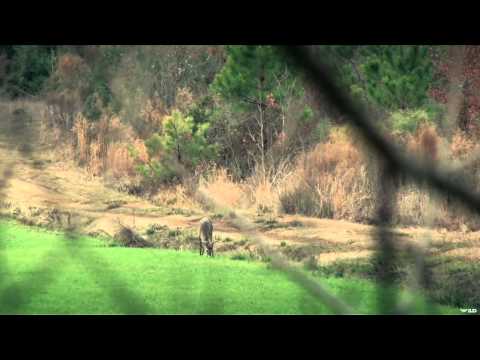 Headhunter's TV - Headhunting Louisiana