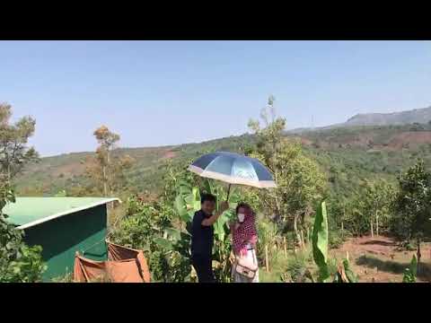 Bán đất mặt tiền QL20 - Di Linh - Lâm Đồng