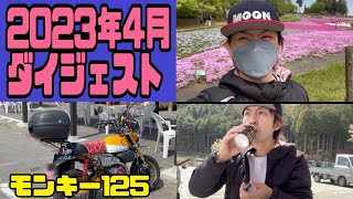 【モトブログ】2023年4月ダイジェスト【モンキー125】【ツーリング】【桜】【小菅道の駅】【羊山公園】【秩父】 【vlog】#monkey125 #touring