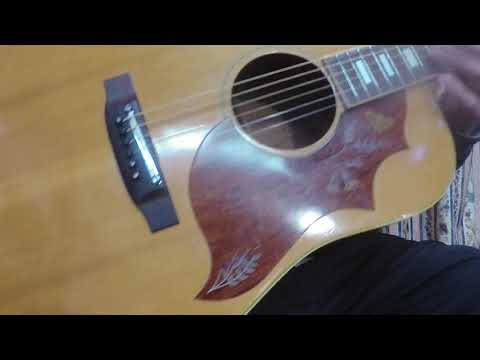 Takamine Elite HM-25 Hummingbird Replica Guitar 1974 Natural+Hard