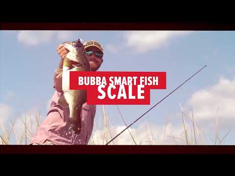 Bubba Smart Fish Scale