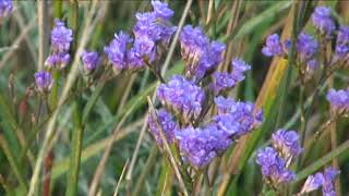 HÍREK A TERMÉSZETBŐL