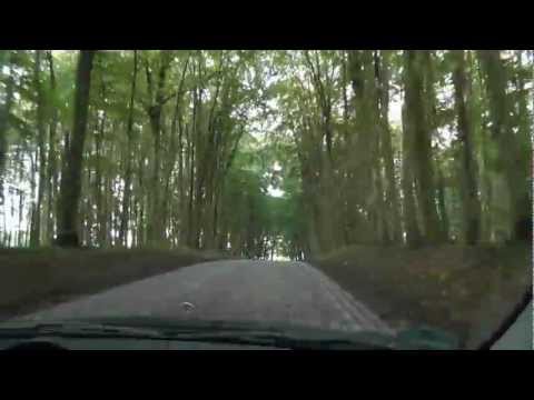 Insel Rügen: aufregende Fahrt durch einen Gespensterwald. An exciting ride through a ghost forest.