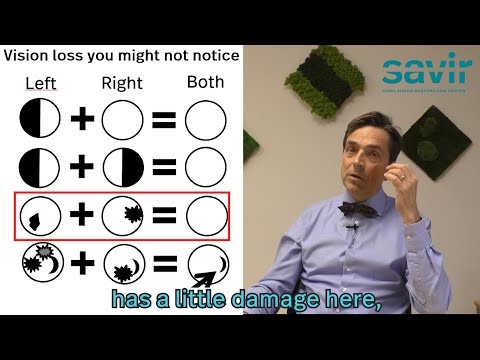 Savir Lectures 05: Why is Vision Loss Not Always Visible? | Prof. Bernhard Sabel