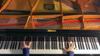 【Touhou(東方) - Bad Apple !!】Piano Cover ピアノ 弾いてみた