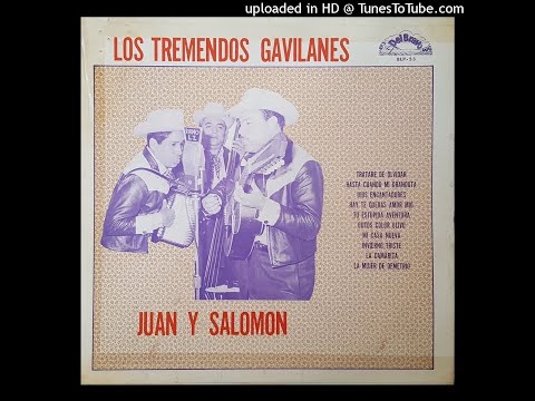 Los Tremendos Gavilanes - Tratare De Olvidar (Disco Completo)