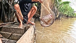 Tam Quoc Thinh Vlog - unique killer hunting catfish in Ham Luong river. @tamquocthinh2025