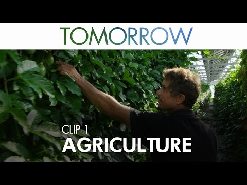 Tomorrow (Clip 'Agriculture')