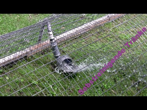 Kaninchen Tränke selbstreinigend