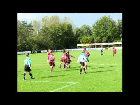 Wherevogels D1 - Purmersteijn D2