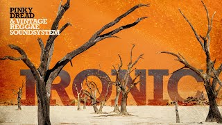 Ironic - Alanis Morissette x Vintage Reggae Soundsystem