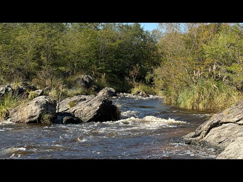 Río de los Sauces