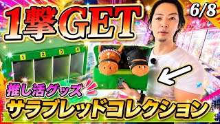 一撃GET!!サラブレッドコレクション推し活グッズ!!ROUND1ぬいぐるみ3000円チャレンジ！