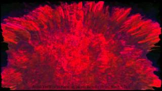 Armin Van Buuren feat  Justin Suissa - I Never Wanted This