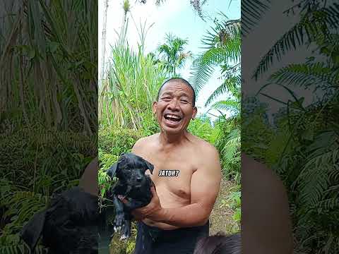 birong kepeleset jatuh ke sungai... tangkap fredo