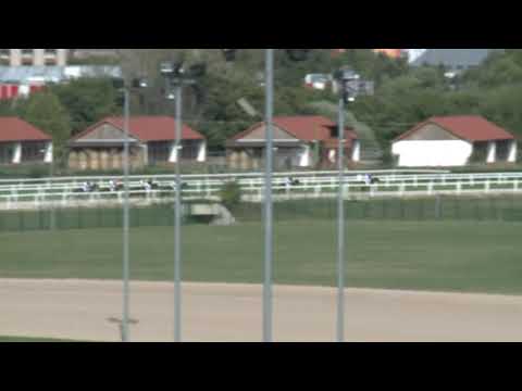 2017.08.27. 5. futam - AUGUSZTUSI HENDIKEP (III.o.) (szintetikus pálya)