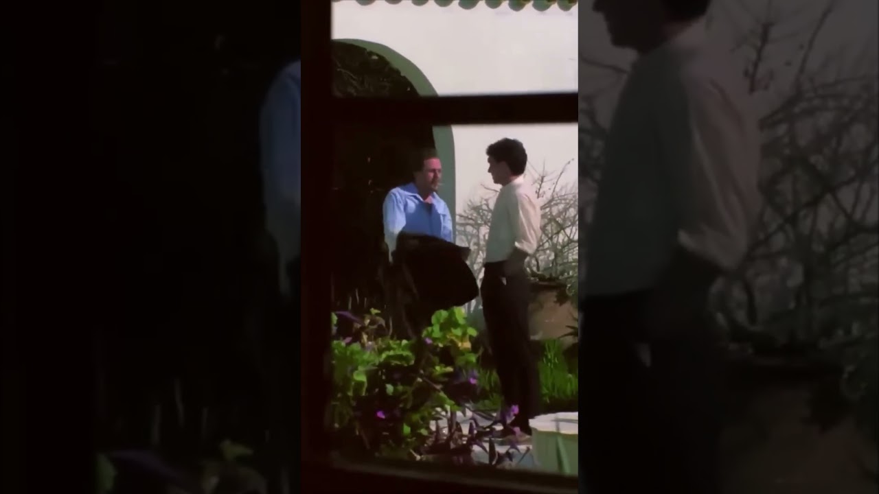 Pencerenin Ardındaki Korku: Neler Oluyor? #film #shorts