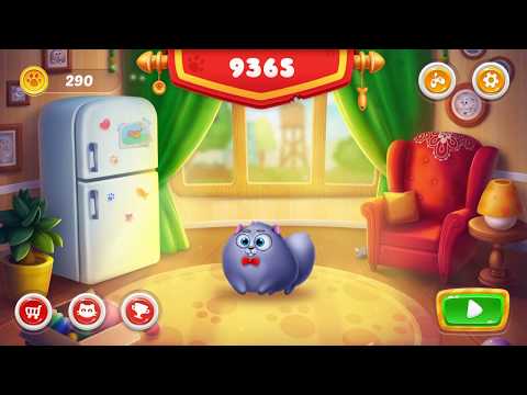 Happy Kitty Run Video